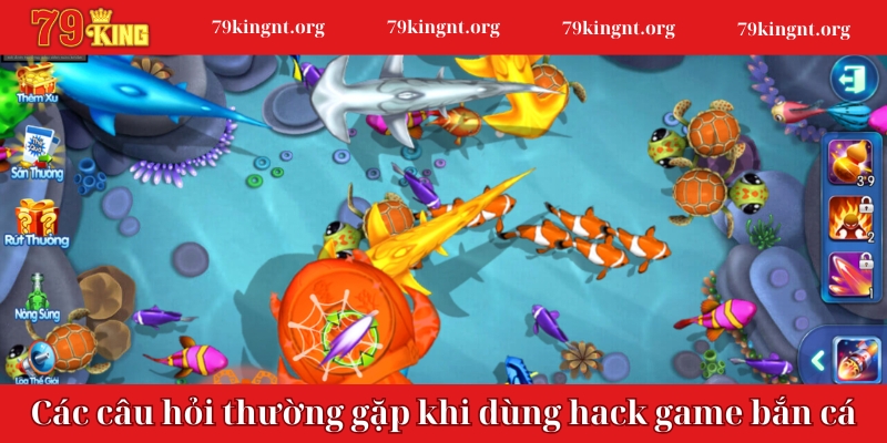 Các câu hỏi thường gặp khi dùng hack game bắn cá miễn phí 