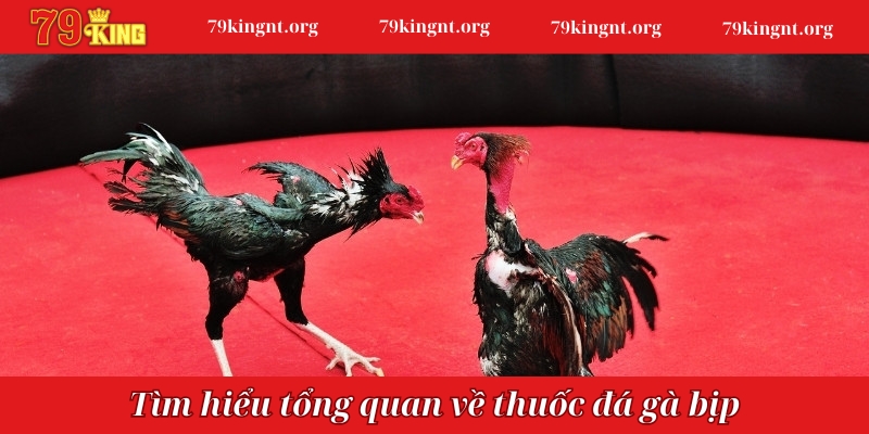 Tìm hiểu tổng quan về thuốc đá gà bịp